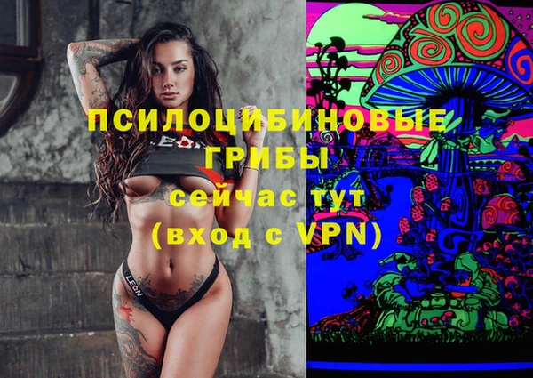 прущая мука Богданович